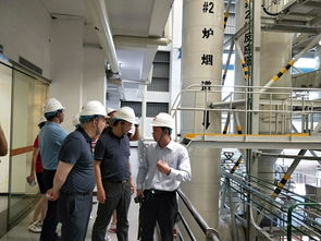 高新區(qū)赴深調(diào)研深能環(huán)保垃圾處理