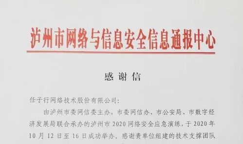 任子行網絡技術股份 以技術創新驅動，引領網絡服務新篇章